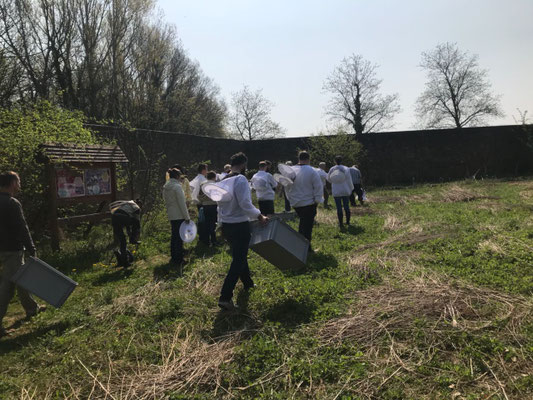 Auf dem Weg zu den Bienen