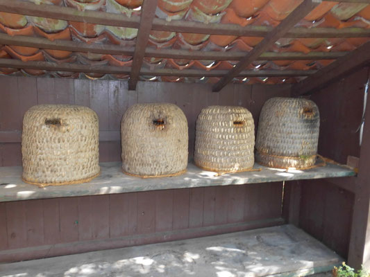 Lüneburger Stülper mit Bienen