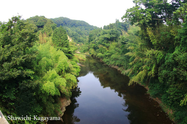 小櫃川（千葉県）
