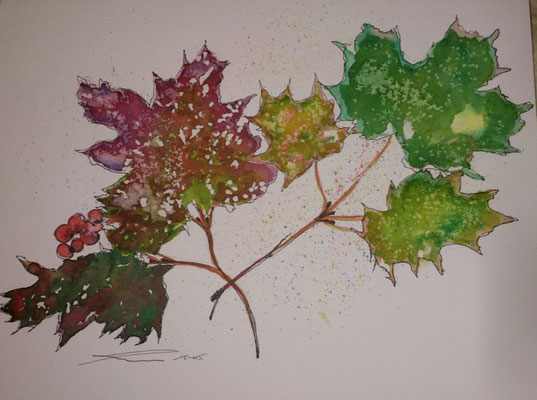 Herbstblätter, 10-15, Aquarell, 30x40cm