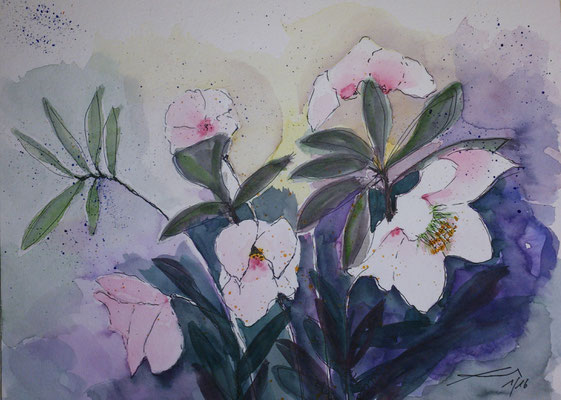 Christrosen, 1-16, Aquarell, 30x40cm