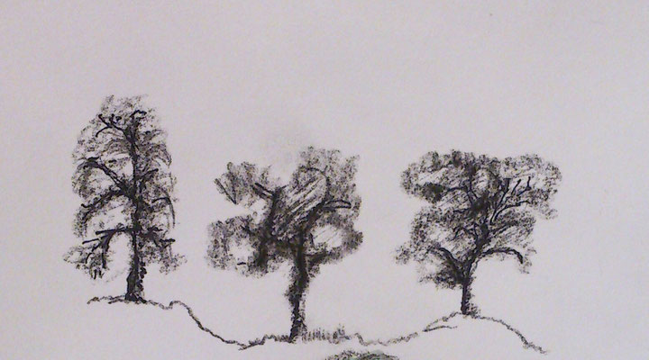 Baumstudie, 8-15, Kohle, Bildausschnitt