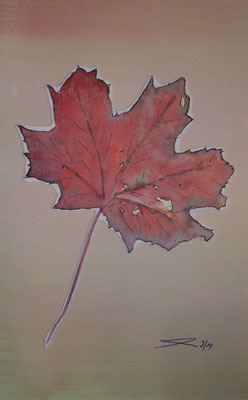Herbstblatt ,9-14, Aquarell , Scherenschnitt auf Papier,15x20cm //     Besitzerwechsel