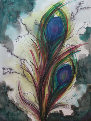 Pfauenfeder, 10-17, Aquarell, 30x40cm