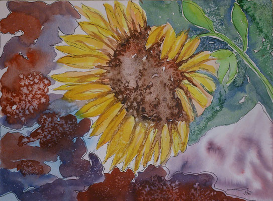 Sonnenblume, 8-15, Aquarell, 30x40cm
