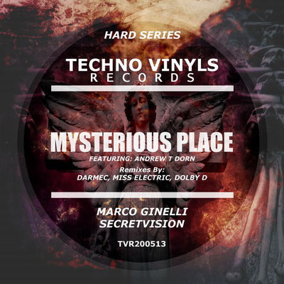 https://www.beatport.com/release/mysterious-place/2944694