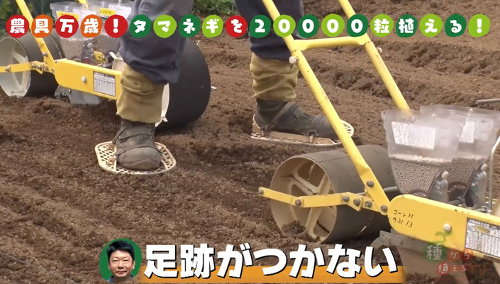 ホーム - タイル工具世界先進メーカーの石井超硬工具製作所 ホーム - タイル工具世界先進メーカーの石井超硬工具製作所