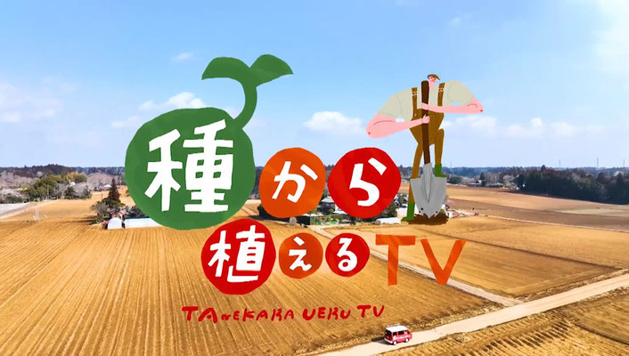 ホーム - タイル工具世界先進メーカーの石井超硬工具製作所 ホーム - タイル工具世界先進メーカーの石井超硬工具製作所