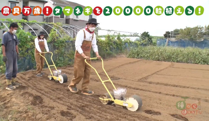 ホーム - タイル工具世界先進メーカーの石井超硬工具製作所 ホーム - タイル工具世界先進メーカーの石井超硬工具製作所