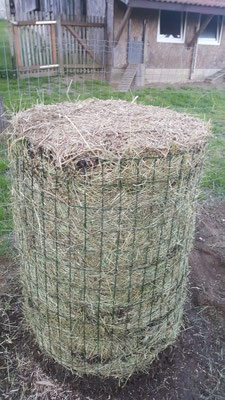 Kartoffelturm 2018 und zu allerletzt mit Mulch bedecken.