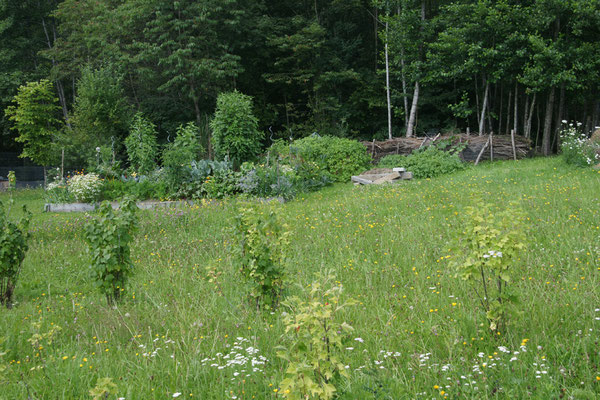 Unsere Hügelbeete fügen sich sehr gut in die Natur mit ein.
