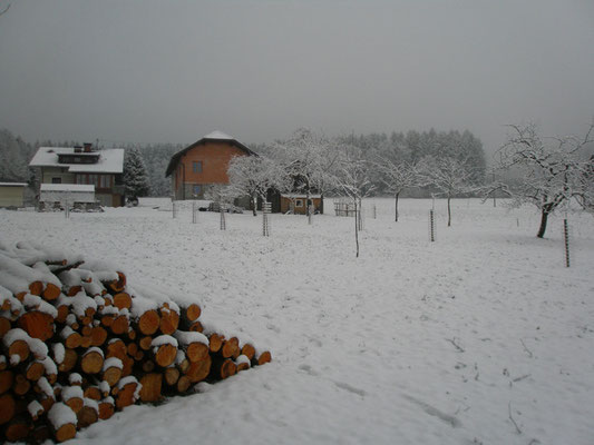 Unsere im Herbst 2014 angelegte Streuobstwiese, im Winter.