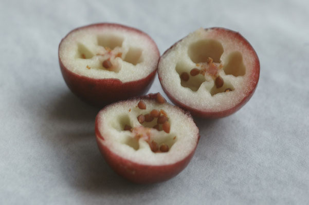  Cranberry aufgeschnitten