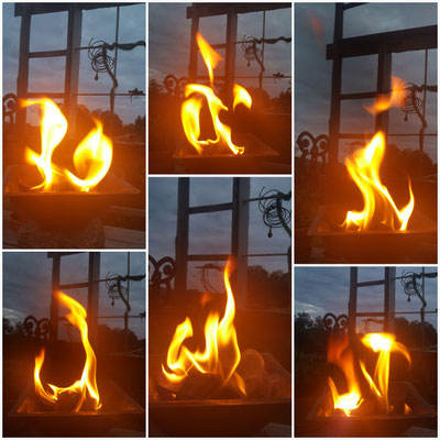 Agnihotra ist die grundlegende Homa-Feuertechnik, die auf dem Biorhythmus von Sonnenauf- und Sonnenuntergang beruht und bereits in den jahrtausendealten Veden zu finden ist. Auch in der Bibel wird es erwähnt (Daniel 8.26)