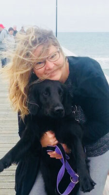 Flat Coated Retriever Flatmeadowss Webseite
