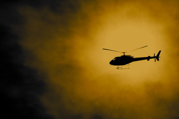 The Chopper