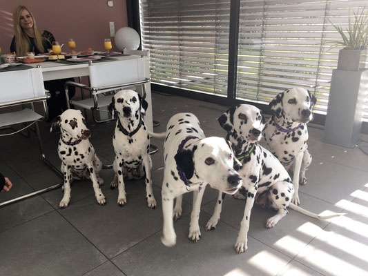 Familienfoto: Merle, Frau Sommer, Balou, Hella und Joschi