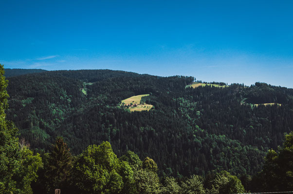 Freistehendes Haus auf dem Berg mitten im österreichischen Wald