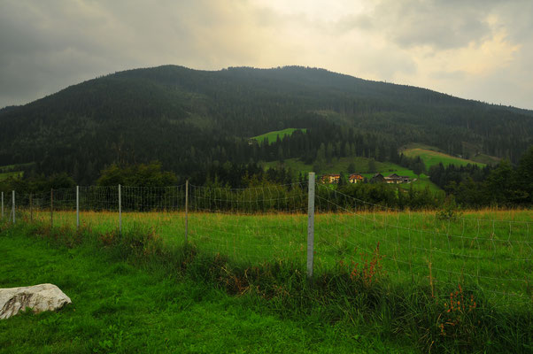 Weiden von Österreich