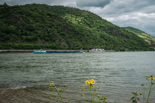 Der Rhein in voller Pracht