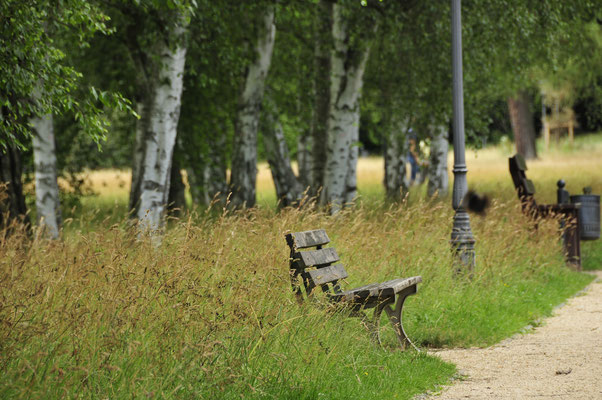 Kur-Park von Bad Homburg