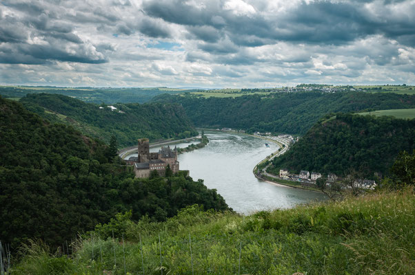 Burg Katz am Rhein