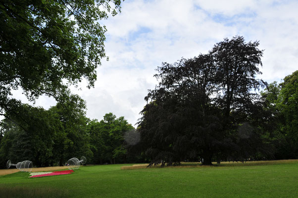 Park in Bad Homburg