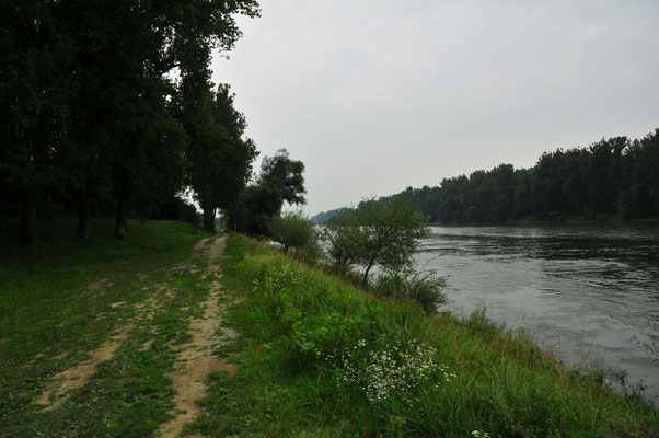 Donau in Bayern