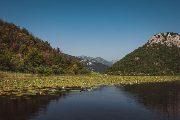 Romantische Bootsfahrten zu zweit quer durch den Skadarsee