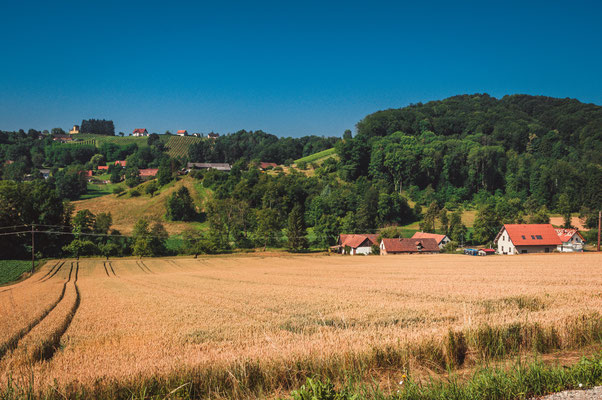 Weizenfeld bei Seiersberg