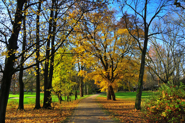 Kur-Park von Bad Homburg im Herbst