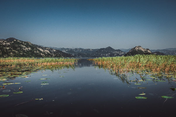 Von Menschen erschaffene Wasserstraßen durch die Seerosen am Skadarsee