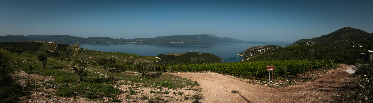 Kroatiens Weinberge - Panorama