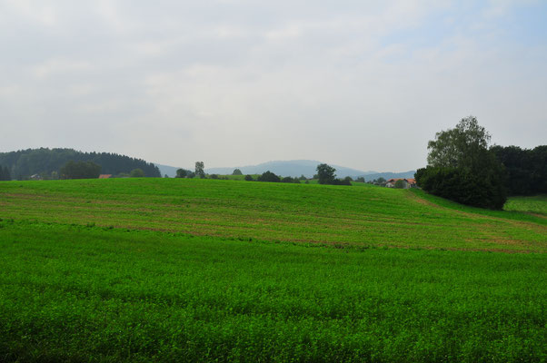 Österreichische Landschaft