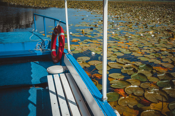 Das Boot am See