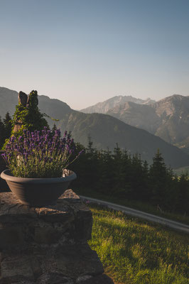 Bei Berggasthof Biberg in Österreich