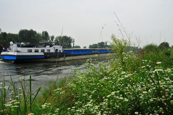 Schiff auf der Donau