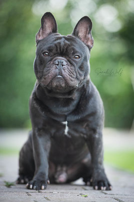 Leo mit 3 1/2 Jahren