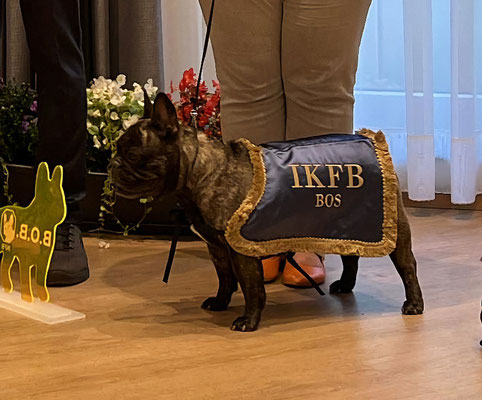 Enna wird BOS