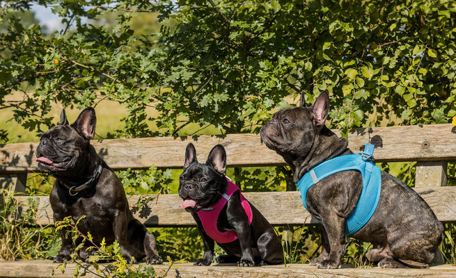 Leni und Lotti mit Lottis Tochter Emma