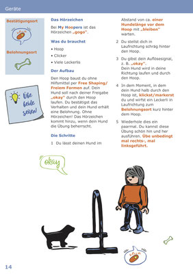 Hoopersbuch für Anfänger · Die Geräte · My Hoopers Beginners - Basics & die Geräte · Aufbau der Geräte im Hoopers-Training