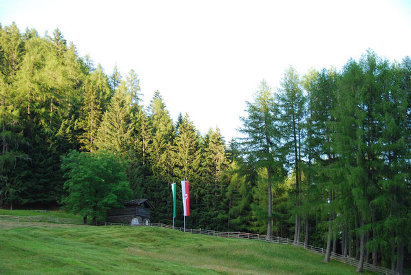 Alps 02.07.2009: Pfandler Alm