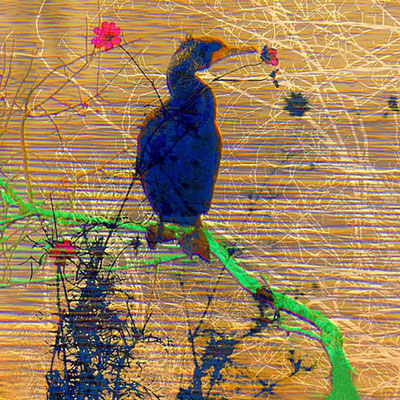 wasservogel-okL 2024