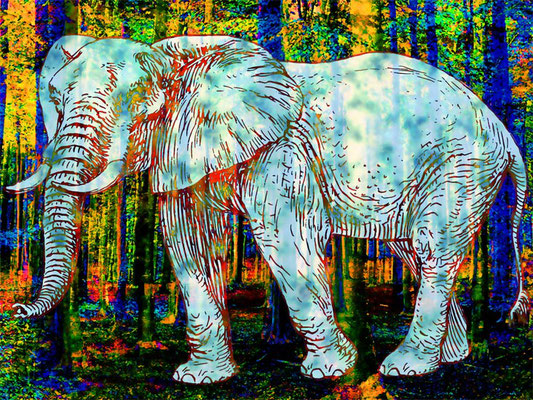 elefant 2023
