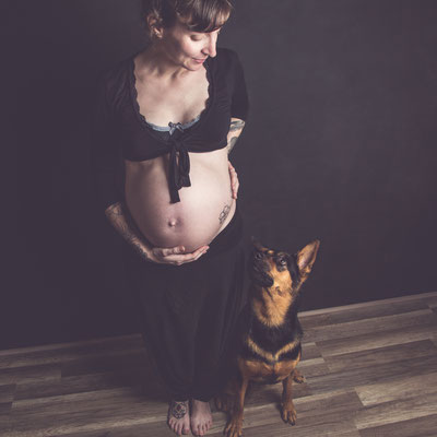 photographe grossesse avec chien toulouse, séance photo grossesse avec chien