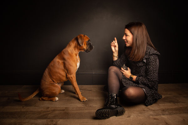 photographe chien studio, séance photo chien studio, portrait chien toulouse, photographe animalier toulouse