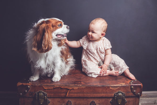 Séance photo bébé avec chien, photographe bébé Toulouse, portrait bébé 1 an