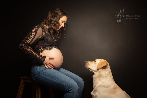 photographe grossesse avec chien toulouse, séance photo grossesse avec chien