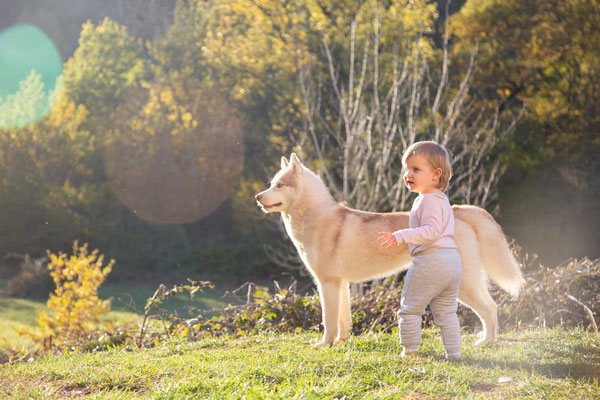 photographe chien studio toulouse, photo bébé avec chien