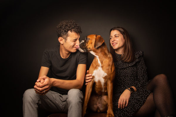 photographe chien studio, séance photo chien studio, portrait chien toulouse, photographe animalier toulouse